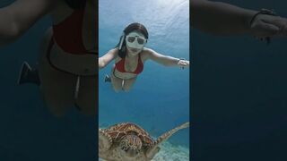 Red Bikini Girl Swim In Underwater #shorts #viral #trending