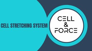 CELL&FORCE Cell Stretching devices #cellstretchingdevice #cellstretchingdevices