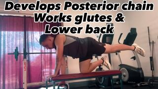 How to develop a lower back of steel ( Lowerback stretching and strengthening exercises)