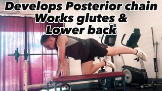 How to develop a lower back of steel ( Lowerback stretching and strengthening exercises)