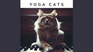 Yoga for Cats