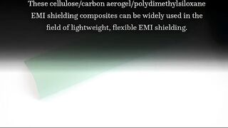 Lightweight, Flexible Cellulose-Derived Carbon Aerogel@Reduced Graphene Oxide/PDMS Co... | RTCL.TV