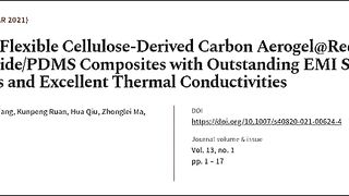 Lightweight, Flexible Cellulose-Derived Carbon Aerogel@Reduced Graphene Oxide/PDMS Co... | RTCL.TV