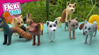 Super Flexible Pets | EMCOTOYS