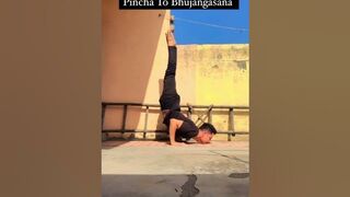 Pincha To Bhujangasana | #yoga #challenge #balance #yogawithrahul #youtubeshorts #strength #shorts