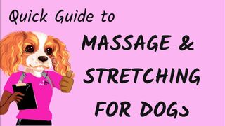 Quick Guide to Massage and Stretching for Dogs