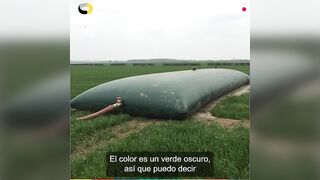 CASO DE CLIENTE Cisterna flexible de agua ???? reserva móvil para regar ensaladas ecológicas