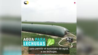 CASO DE CLIENTE Cisterna flexible de agua ???? reserva móvil para regar ensaladas ecológicas