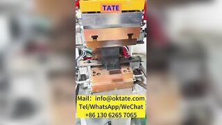 TATA Automotive Copper Foil Nickel Sheet Flexible Soft Connection Polymer Diffusion Welding Machine