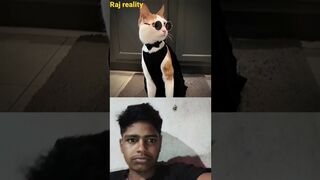 Cat Twerk Bombastic Raj reality show ???? #shots #youtubeshorts #raj #viral #bombastic #animals