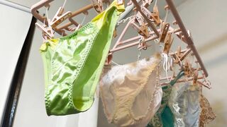 Wash and Dry - Hanging Underwear Clip Rack #41 | Lingerie Underwear Collection | ft. THE GLOSSY MINT