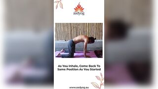 Correct way to do cat cow pose in yoga #yoga #aadyog #fitness #wellness