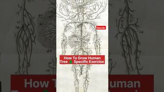 How to Grow Human Tree ???? Specific Exercise #ytshorts #yoga #india #ashortaday #reels #shorts