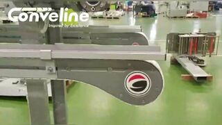 Flexible Chain Conveyor for chocolate pouch handling