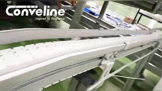 Flexible Chain Conveyor for chocolate pouch handling