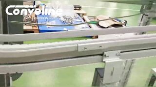 Flexible Chain Conveyor for chocolate pouch handling