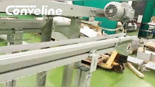 Flexible Chain Conveyor for chocolate pouch handling