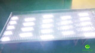 LED Flexible Mesh Screen, Show You the World