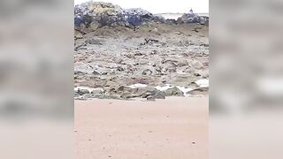 Playa de los Bikinis en Santander en bajamar.