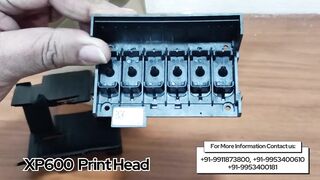 XP600 Printhead... Highest Quality Color Output UV Flexible Ink Compatible with XP600 Printhead