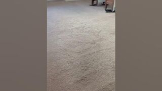 Compass Carpet Repair - Carpet Stretching Wrinkles in Oakley OH