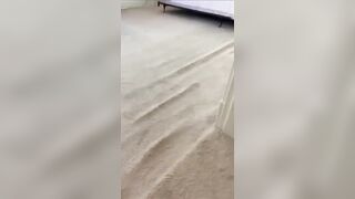 Compass Carpet Repair - Carpet Stretching Wrinkles in Oakley OH