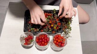 Picked up Cherry Tomatoes and did Evening Yoga.