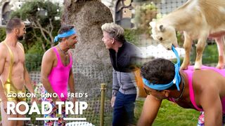 Goat Yoga: “I’m Getting Done By a Goat Here” | Gordon, Gino, and Fred's Road Trip