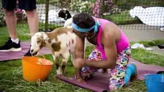 Goat Yoga: “I’m Getting Done By a Goat Here” | Gordon, Gino, and Fred's Road Trip