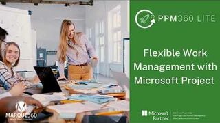 PPM360 Lite - Flexible Work Management with Microsoft Project