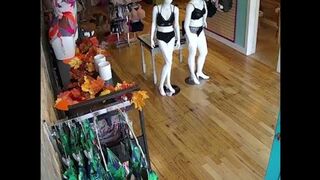 4-point buck smashes into Michigan lingerie store