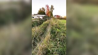 Cowboy ???? Curl Barb Wire Stretching Technique #barbwire #fencing #security