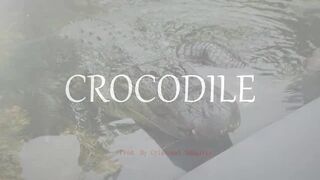 Emphatic Twerk Rap Beat Instrumental "Crocodile" ( Prod. By Cristobal Sabajtis )