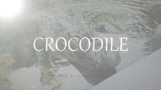 Emphatic Twerk Rap Beat Instrumental "Crocodile" ( Prod. By Cristobal Sabajtis )