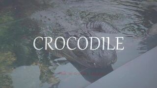 Emphatic Twerk Rap Beat Instrumental "Crocodile" ( Prod. By Cristobal Sabajtis )