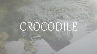 Emphatic Twerk Rap Beat Instrumental "Crocodile" ( Prod. By Cristobal Sabajtis )