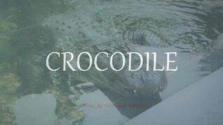 Emphatic Twerk Rap Beat Instrumental "Crocodile" ( Prod. By Cristobal Sabajtis )