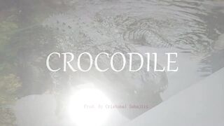 Emphatic Twerk Rap Beat Instrumental "Crocodile" ( Prod. By Cristobal Sabajtis )