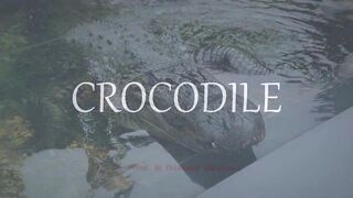 Emphatic Twerk Rap Beat Instrumental "Crocodile" ( Prod. By Cristobal Sabajtis )