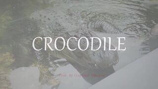 Emphatic Twerk Rap Beat Instrumental "Crocodile" ( Prod. By Cristobal Sabajtis )