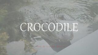 Emphatic Twerk Rap Beat Instrumental "Crocodile" ( Prod. By Cristobal Sabajtis )