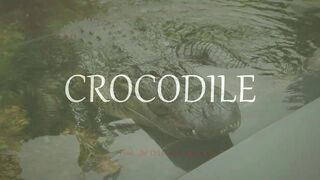 Emphatic Twerk Rap Beat Instrumental "Crocodile" ( Prod. By Cristobal Sabajtis )