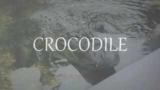 Emphatic Twerk Rap Beat Instrumental "Crocodile" ( Prod. By Cristobal Sabajtis )