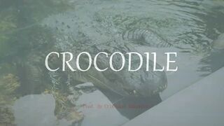 Emphatic Twerk Rap Beat Instrumental "Crocodile" ( Prod. By Cristobal Sabajtis )