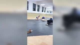 Un Gato da clases de Yoga ????