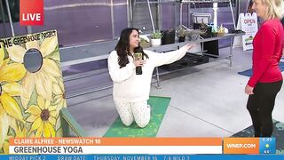 Scranton nonprofit channels good vibes with greenhouse yoga