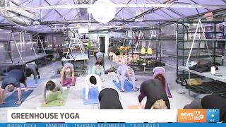 Scranton nonprofit channels good vibes with greenhouse yoga