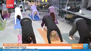 Scranton nonprofit channels good vibes with greenhouse yoga