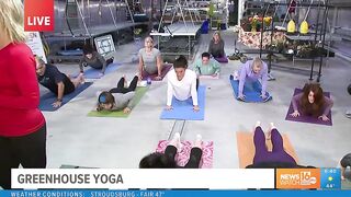 Scranton nonprofit channels good vibes with greenhouse yoga