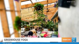 Scranton nonprofit channels good vibes with greenhouse yoga